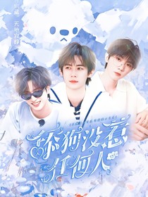 TNT：舔狗没惹任何人