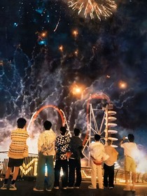 TNT：训狗日记