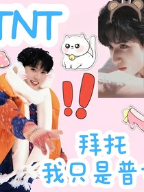 TNT：拜托我只是普女