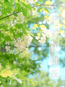 听说你很呆