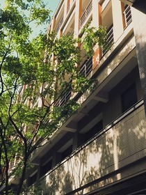 永夜星河：声声慢