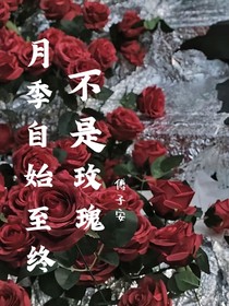 月季自始至终不是玫瑰