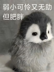 守护心中的月光