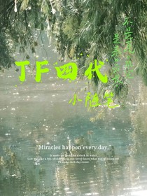TF四代：小隨筆