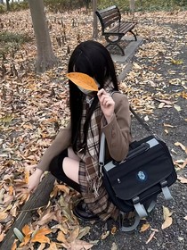 归秋在叶