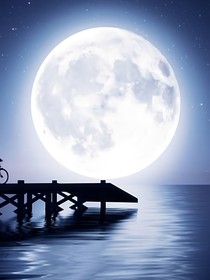 修真：月圓之下我會死