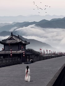 现实世界模拟器