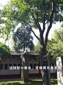 江南依旧