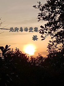 无脚鸟的爱恋