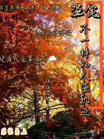 盗笔：不一样的人生轨迹