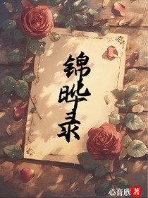 锦晔录