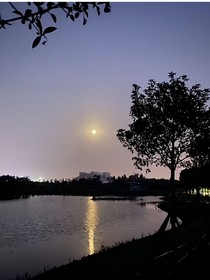 許你一葉扁舟