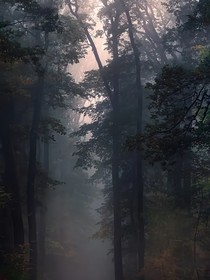 綜漫：宿主她超撩