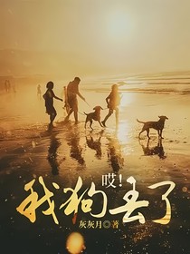 哎！我狗丢了