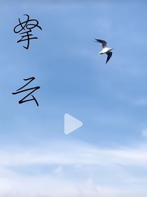 哈利波特之不一样的新世界