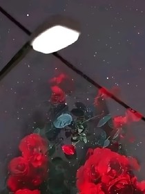 花月重生