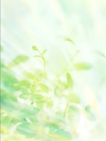 佼欢