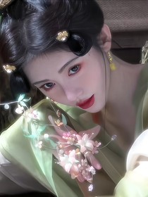 综穿：天上掉下个林妹妹