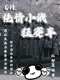 CH：纯情小俄狂赛车