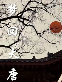 梦回大唐第2