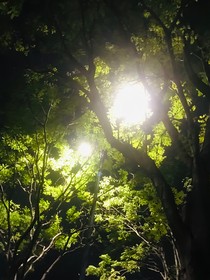 墜星藍(lán)夢