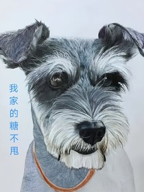我家的糖不甩