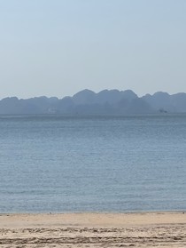 美人魚飼養(yǎng)指南