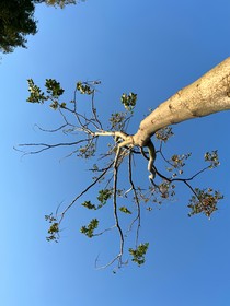 山海的浩瀚