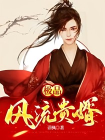 極品風(fēng)流貴婿