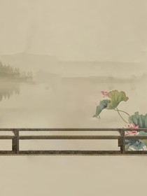 猪猪侠，相互救赎的光