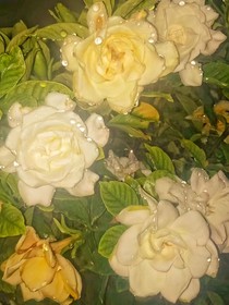 紫罗兰开，栀子花遇