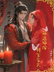 被迫嫁给将军当夫人