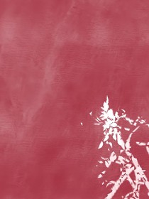 斗龙：之黑化