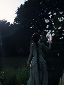 幻域鸿鹄缘