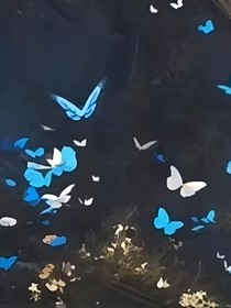 （无限）副本里禁止乞讨啊喂