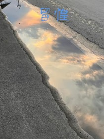 留惶