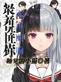 无声回音（自创）