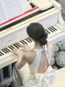 木槿花的花语是什么