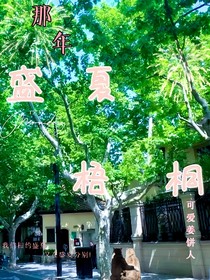 那年，盛夏梧桐