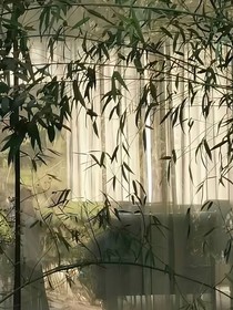 炮灰男二與他的反派徒弟