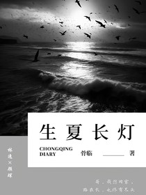 生夏长灯