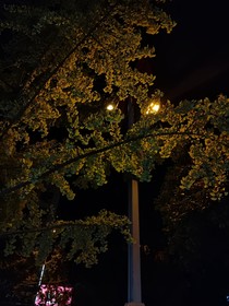 七街长巷