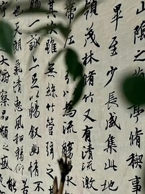 几度春