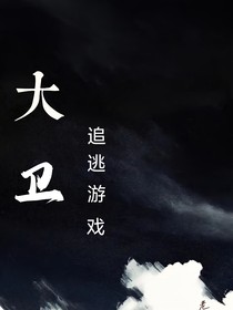 大卫（暗夜续本）