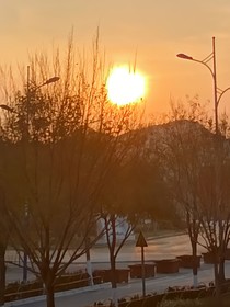 炼气十万年：与之共存