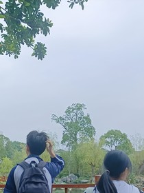 天下無(wú)雙：曾并肩同行的一雙背影