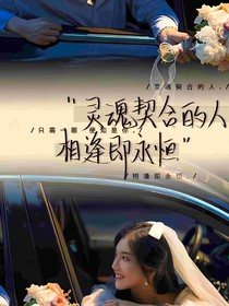 爱意随风起与落