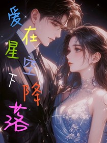 爱在星空下降落