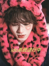ido系统进行中