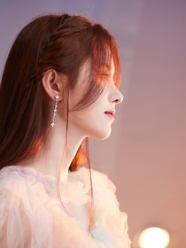 韩娱：有梦想的红玫瑰